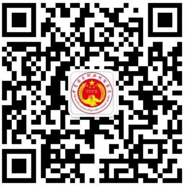 关于开通手机端信息查询的通知